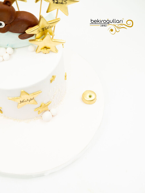 Ayı ve Ay Butik Pasta