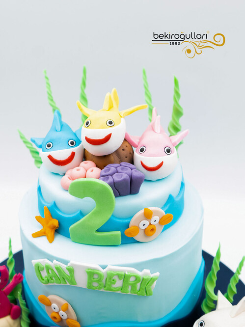 Deniz Hayvanları Konsept Pasta