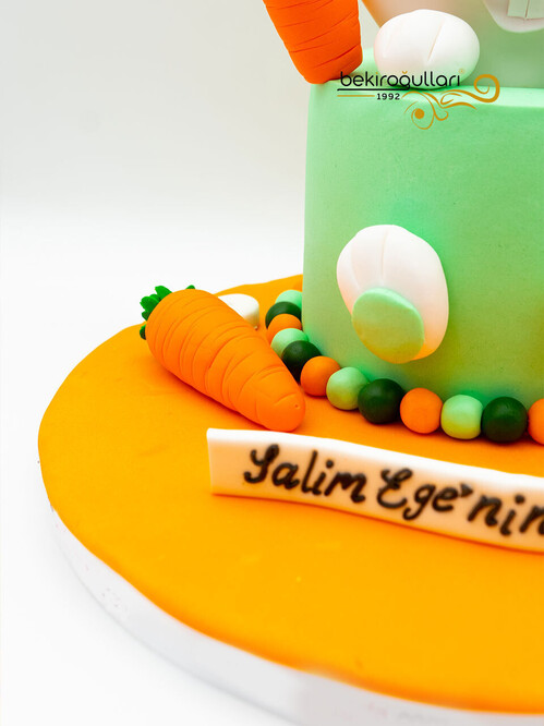 Diş Buğdayı Tavşan Konsept Pasta