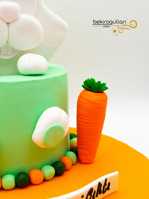 Diş Buğdayı Tavşan Konsept Pasta