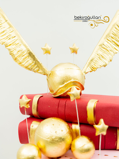 Harry Potter Konsept Pasta