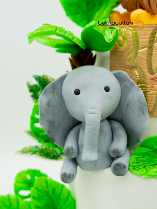 Hayvanlar Alemi Konsept Pasta