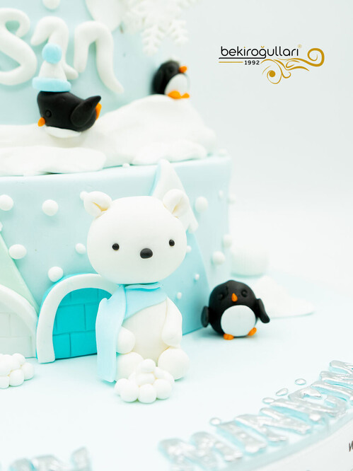 Kar Taneli Butik Pasta