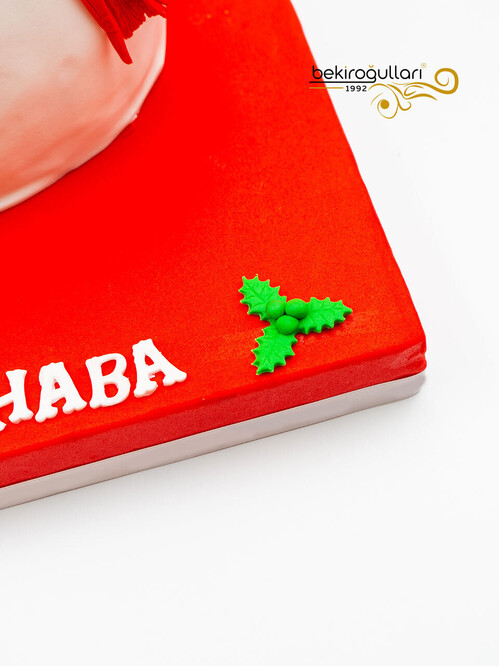 Kardan Adam Tasarım Pasta