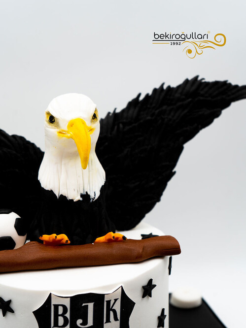 Kartal Model Konsept Pasta