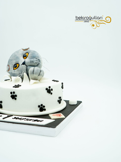 Kedi Detaylı Konsept Pasta