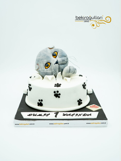 Kedi Detaylı Konsept Pasta