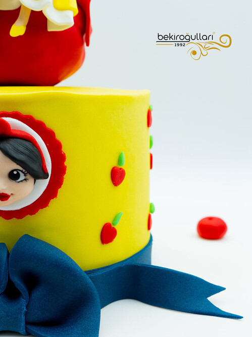 Kırmızı Başlıklı Kız Konsept Pasta