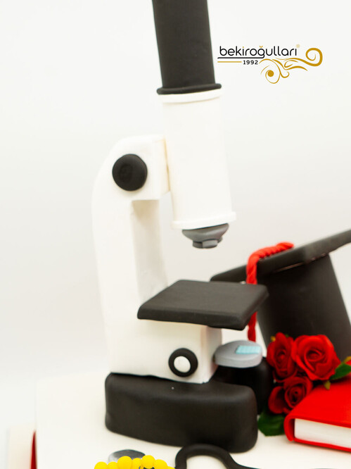 Mezuniyet Temalı Tasarım Pasta