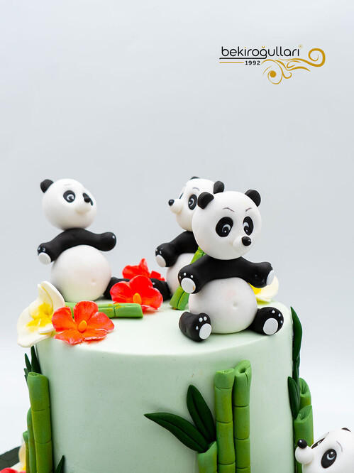 Panda Detay Konsept Pasta