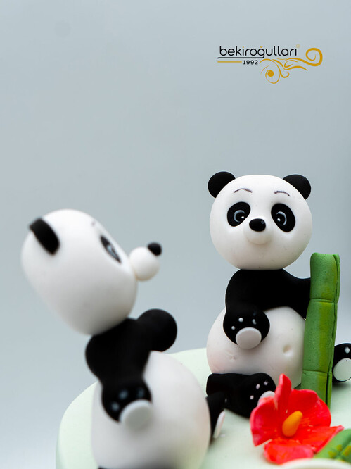 Panda Detay Konsept Pasta