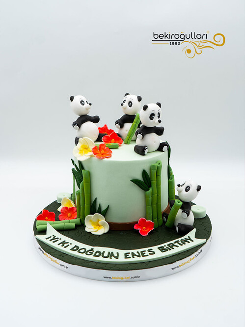 Panda Detay Konsept Pasta