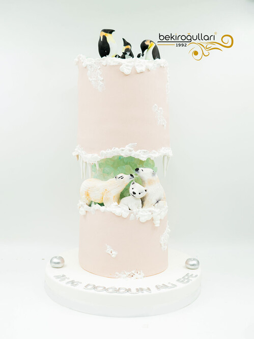 Penguen Tasarım Pasta