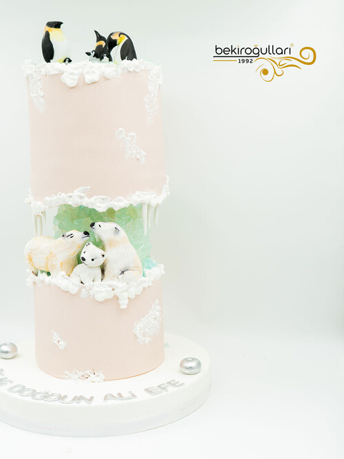 Penguen Tasarım Pasta