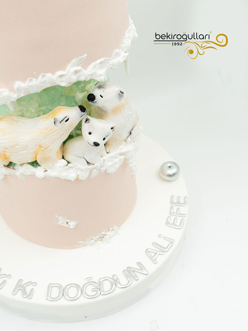 Penguen Tasarım Pasta