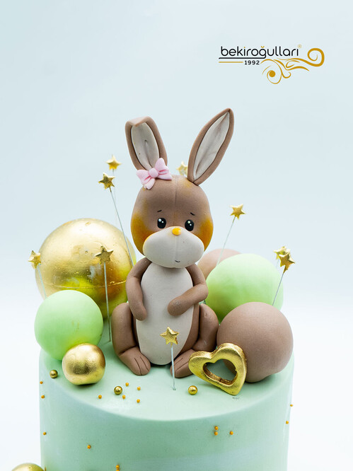 Tavşan ve Toplar Konsept Pasta