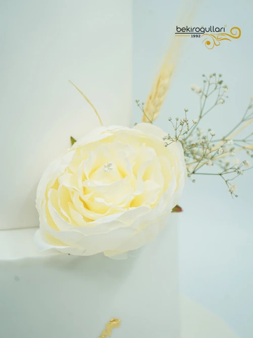 Burçak Detaylı Söz Pastası