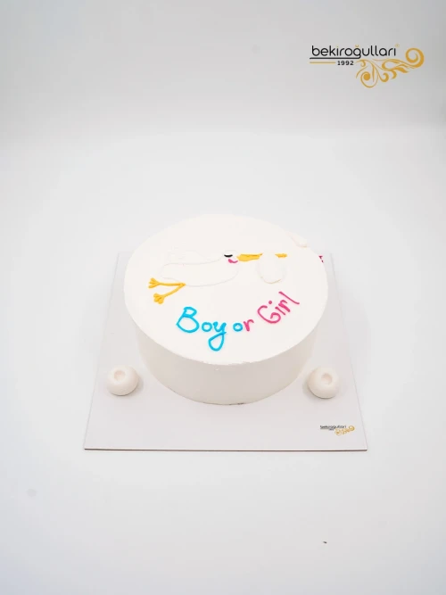 Cinsiyet Partisi Konsept Naked Pasta