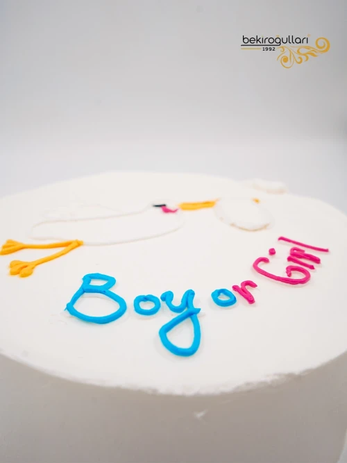 Cinsiyet Partisi Konsept Naked Pasta