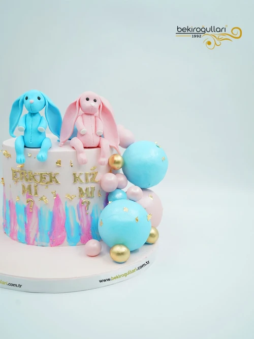 Cinsiyet Partisi Konsept Pasta