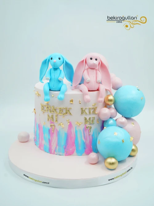 Cinsiyet Partisi Konsept Pasta