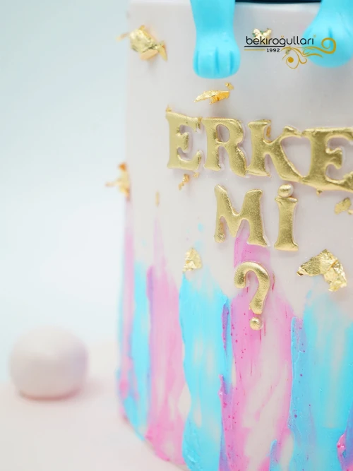 Cinsiyet Partisi Konsept Pasta