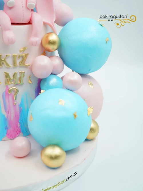 Cinsiyet Partisi Konsept Pasta