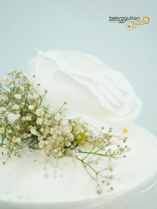 Cipso Detaylı Naked Pasta