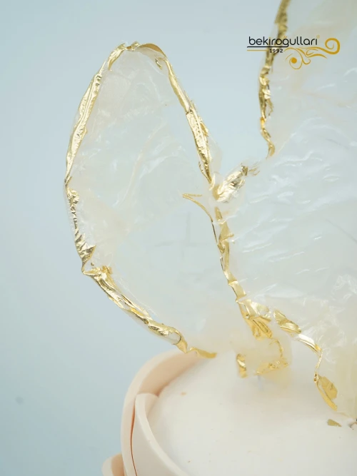 Cipso Süslemeli Söz Pastası