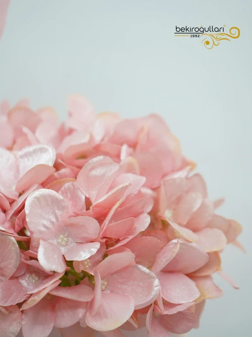 Flamingo Butik Pasta