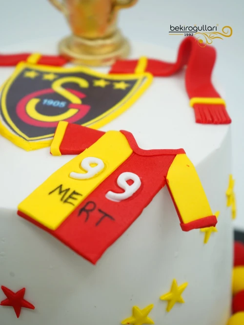 Galatasaray Temalı Tasarım Pasta
