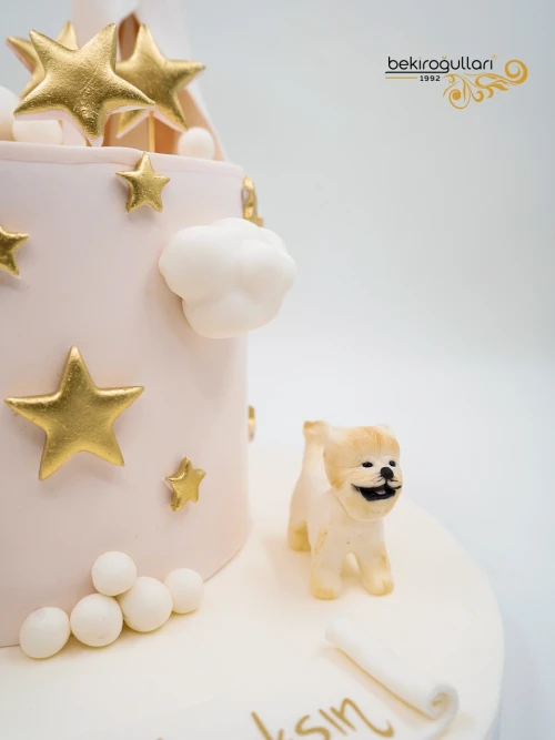 Hamile Anne Tasarım Butik Pasta