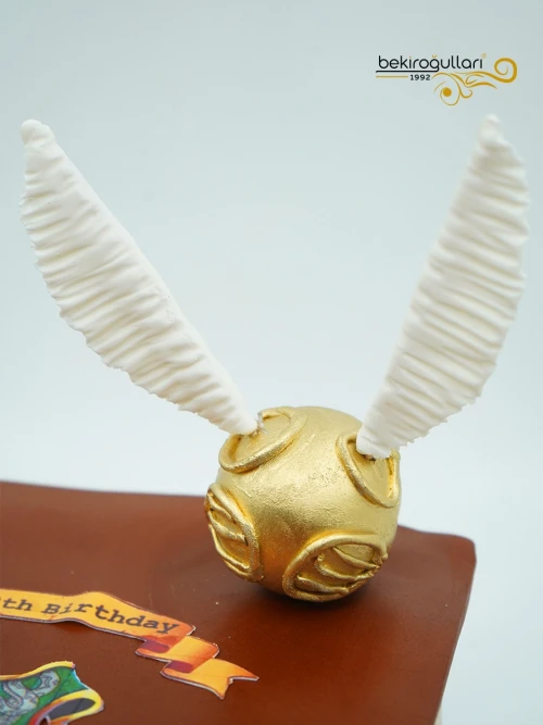 Harry Potter Kitap Pasta