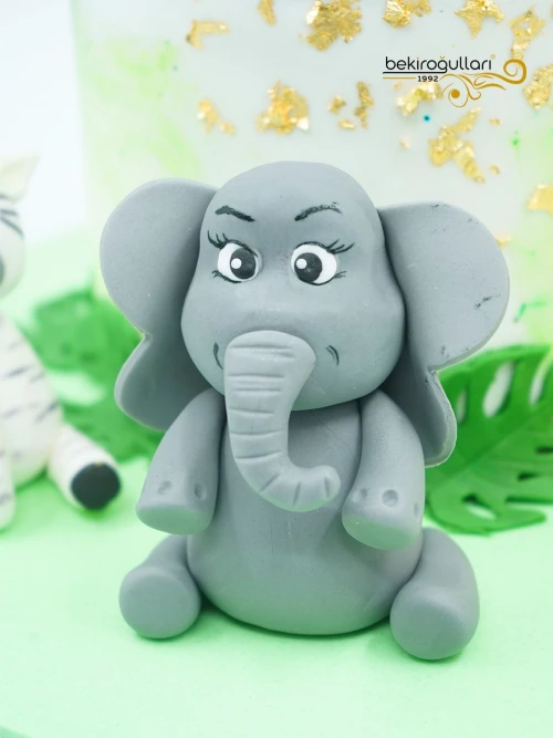 Hayvanlar Alemi Butik Pasta