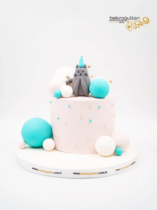 Kedi Detay Butik Pasta