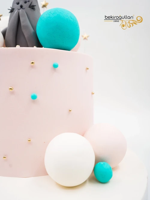 Kedi Detay Butik Pasta