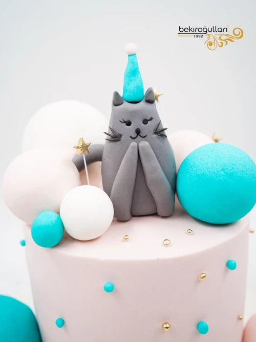 Kedi Detay Butik Pasta