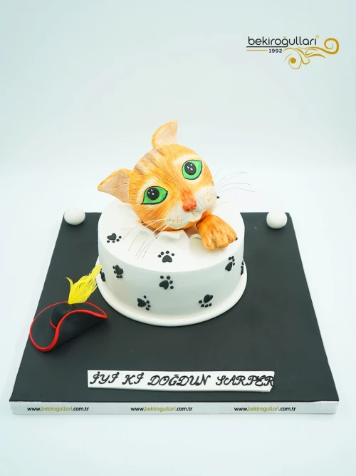 Kedi Detaylı Konsept Pasta