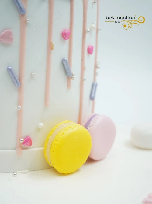 Kuş ve Makaron Detaylı Pasta