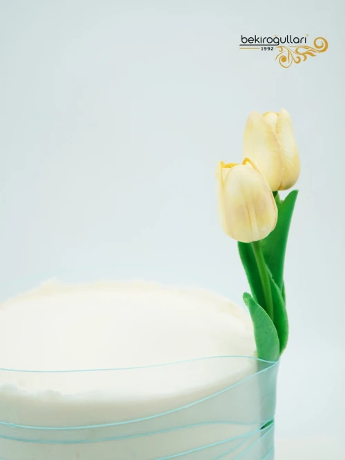 Lale Detay Konsept Butik Pasta