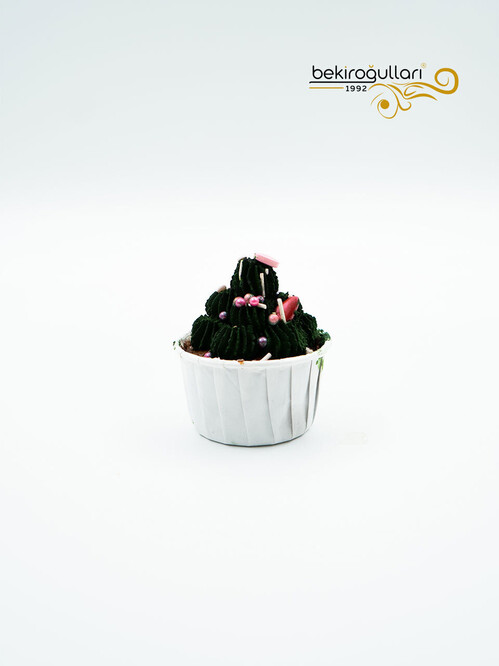 Minik Ağaç Yılbaşı Konsept Cupcake