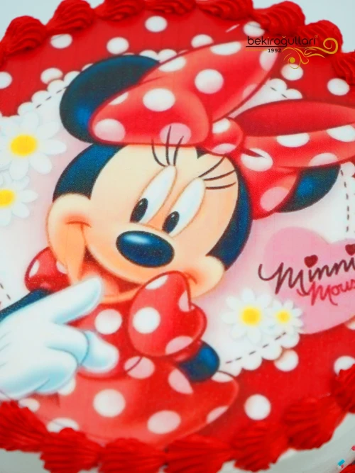 Minnie Mouse Resimli Pasta