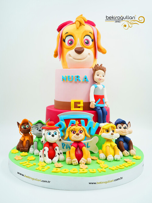 Paw Petrol Konsept Pasta