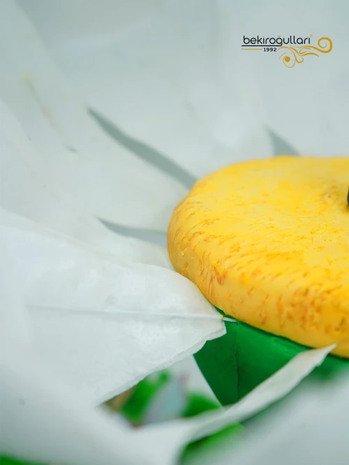 Strong Woman Butik Pasta