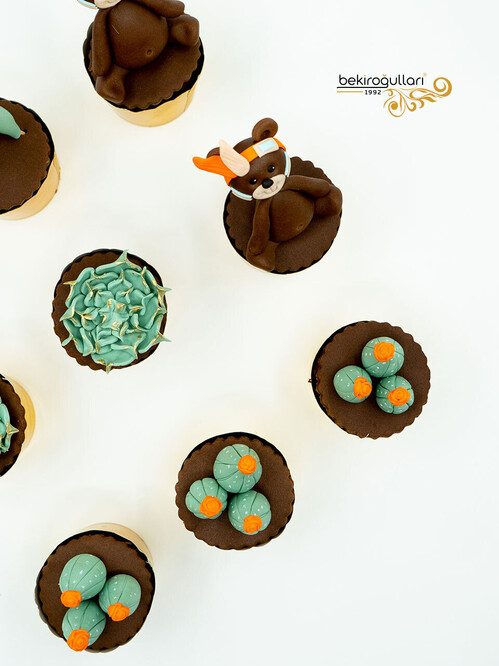 Sukulent Detaylı Cupcake