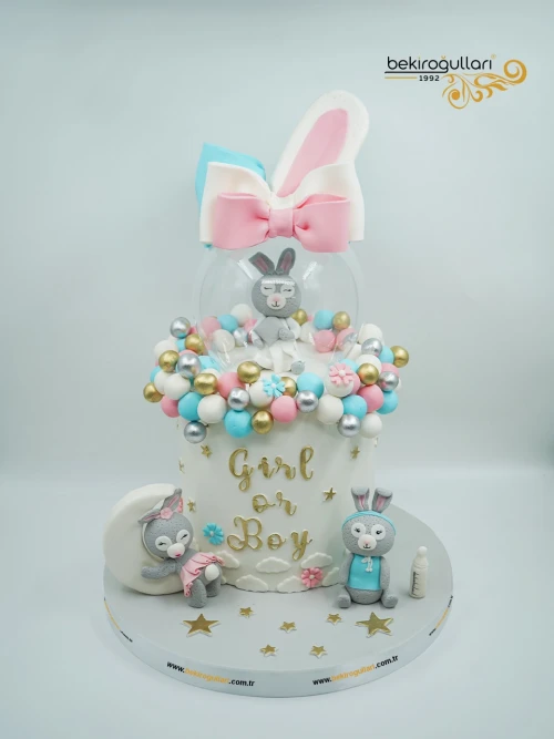 Tavşan Detay Cinsiyet Partisi Pastası
