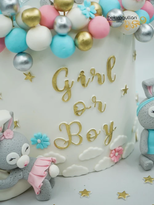 Tavşan Detay Cinsiyet Partisi Pastası