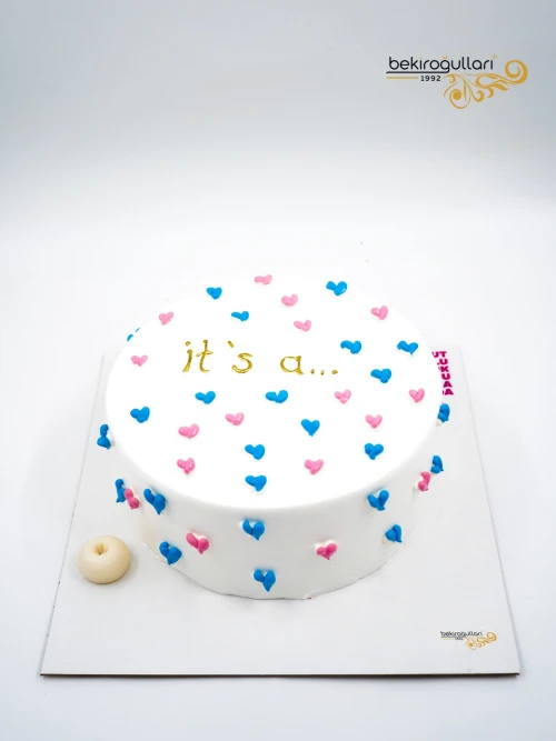 Cinsiyet Partisi Konsept Naked Pasta