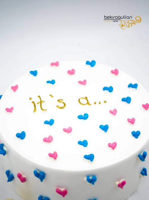 Cinsiyet Partisi Konsept Naked Pasta