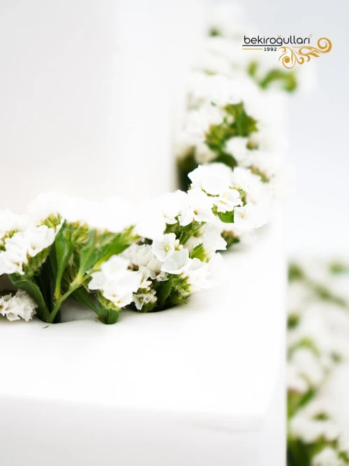 Harf Detay Söz Pastası